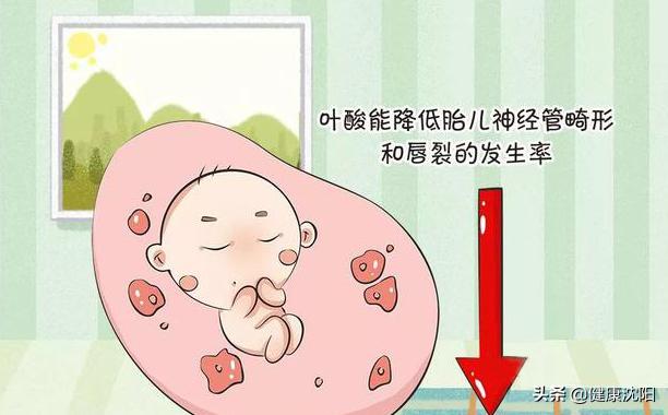 健康知識普及行動系列科普知識講座之合理膳食篇