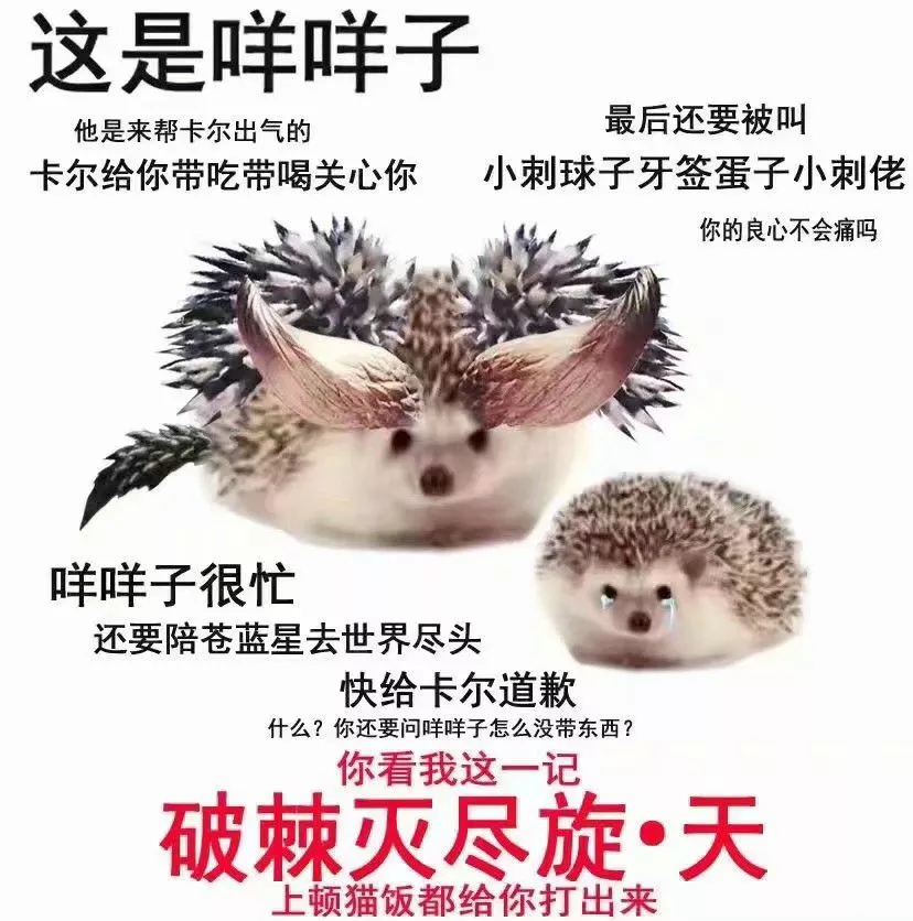 存的卡尔梗图合集,不要再叫人家小刺球子了