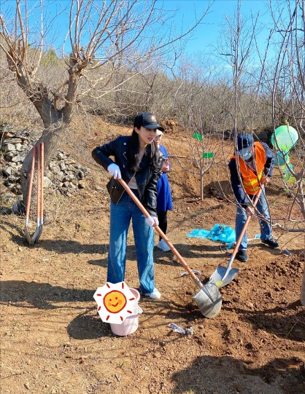 Dong Xuan tomb-sweeping day takes a daughter to plant tree, small dimple of 5 years old grows more beautiful more, work to be like young adult