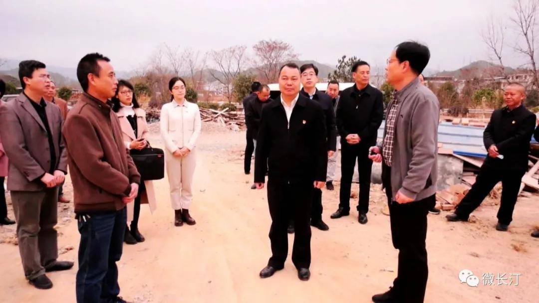 长汀县领导调研“田园牧歌•七星闪耀”乡村振兴跨村联建示范片