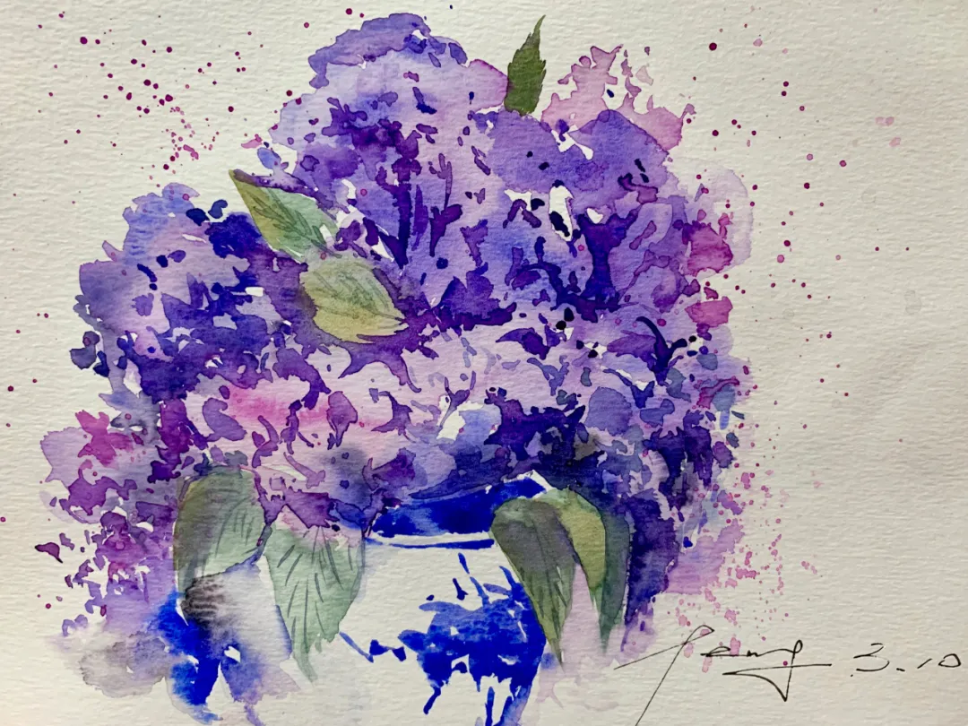 一起画画 第七期 画绣球花打卡作品集 图片版 木子小鱼 Mdeditor 一起画画 第七期 画绣球花打卡作品集 图片版 木子小鱼 Mdeditor