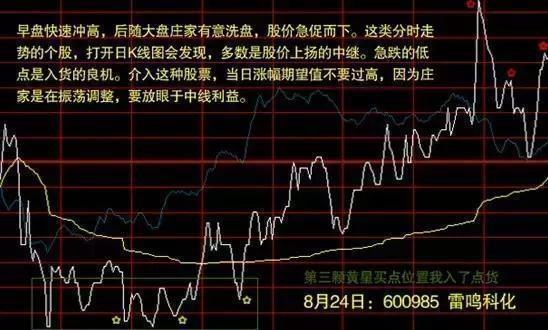 北大女博士罕见发声：如果有50万资金，高分红的