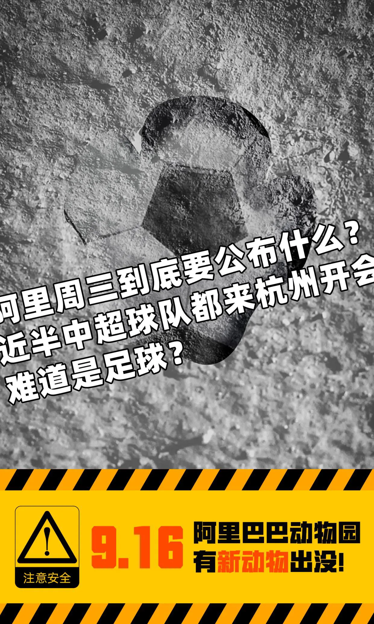 近半中超球队老板都来杭州开会！网友：期待阿里的新赛道！