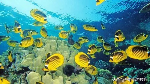 海洋探險知識：絕大部分人，對大海還一無所知，讀懂此文了解海洋