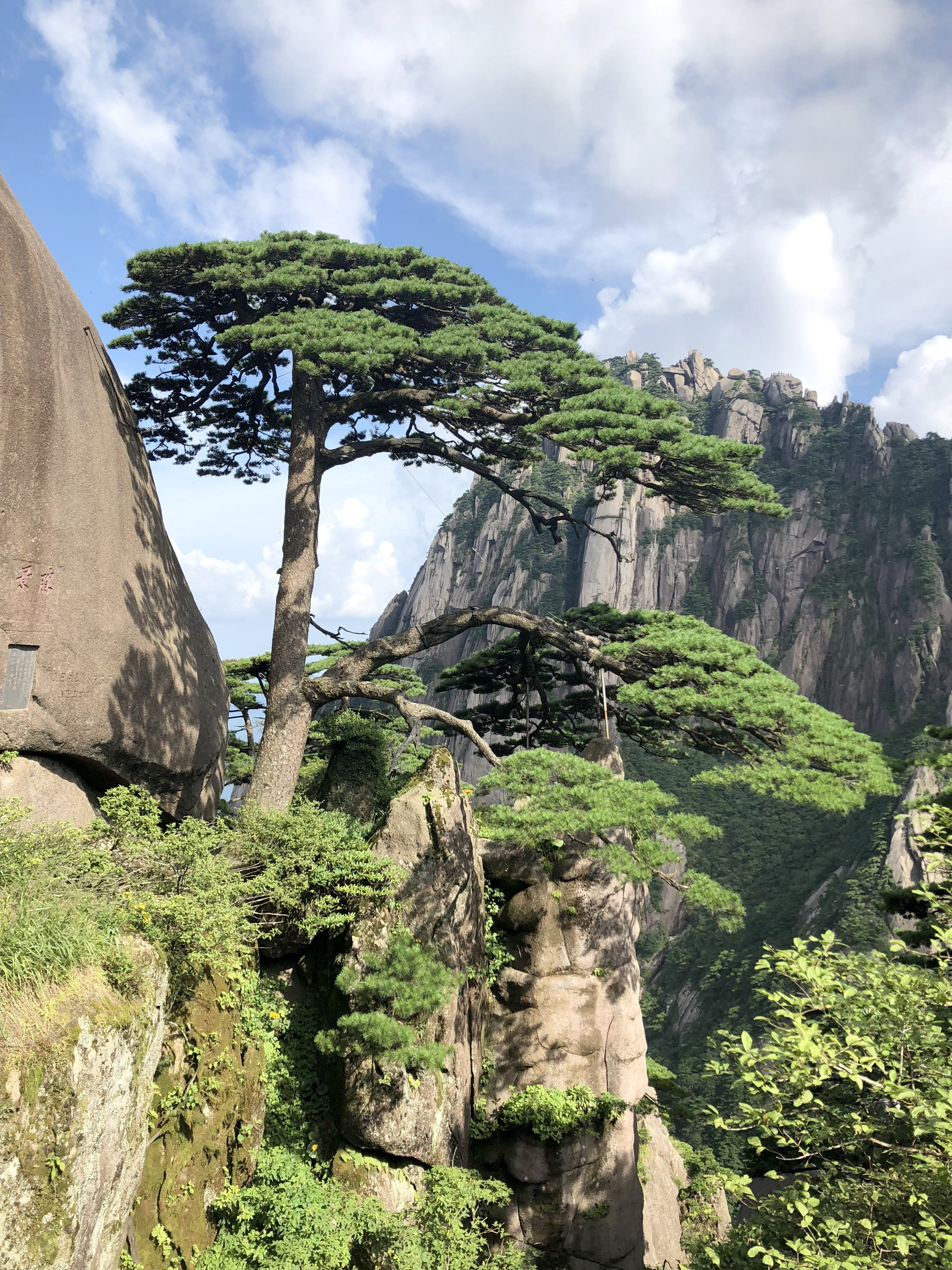 黄山四绝是什么 黄山以哪四绝著称于世-诚智百科网