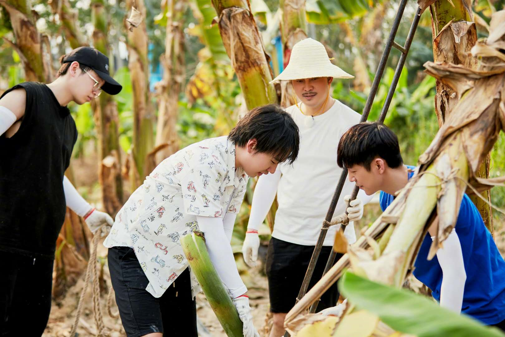 不靠爹的郭麒麟到底有多火？接连参加五档综艺，跟何炅“杠上”了