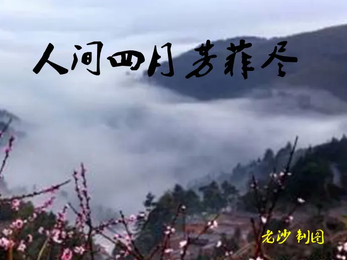 股市早8点丨红五月——值得期待！