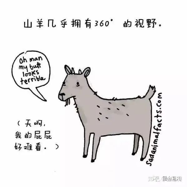 30個(ge) 有趣的科普小星空体育官网入口网站，你知道幾個(ge) ?