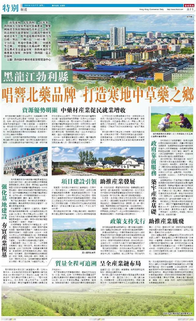 黑龙江勃利县 唱响北药品牌 打造寒地中草药之乡