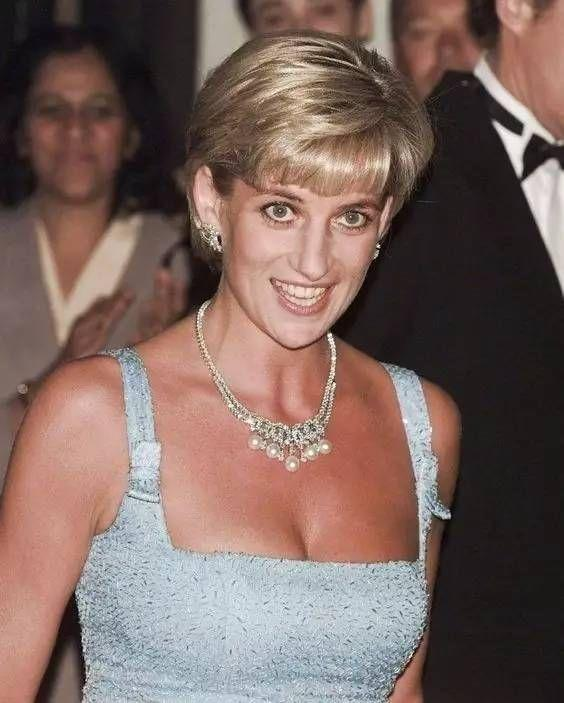 戴安娜最后的情人：埃及亿万身家的公子哥，2