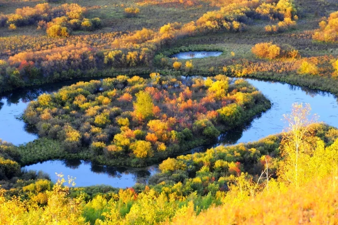 Repelling the scorching summer grassland paradise, Hulunbuir travels the most beautiful route, parent-child vacation praises