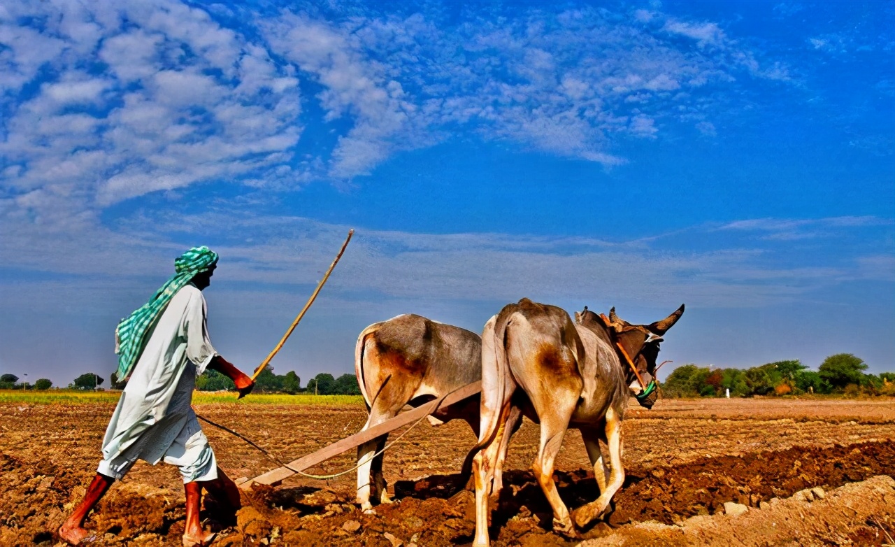 �й��������ֵİ����ֵܣ�Ϊ�γٳٷ�չ��������