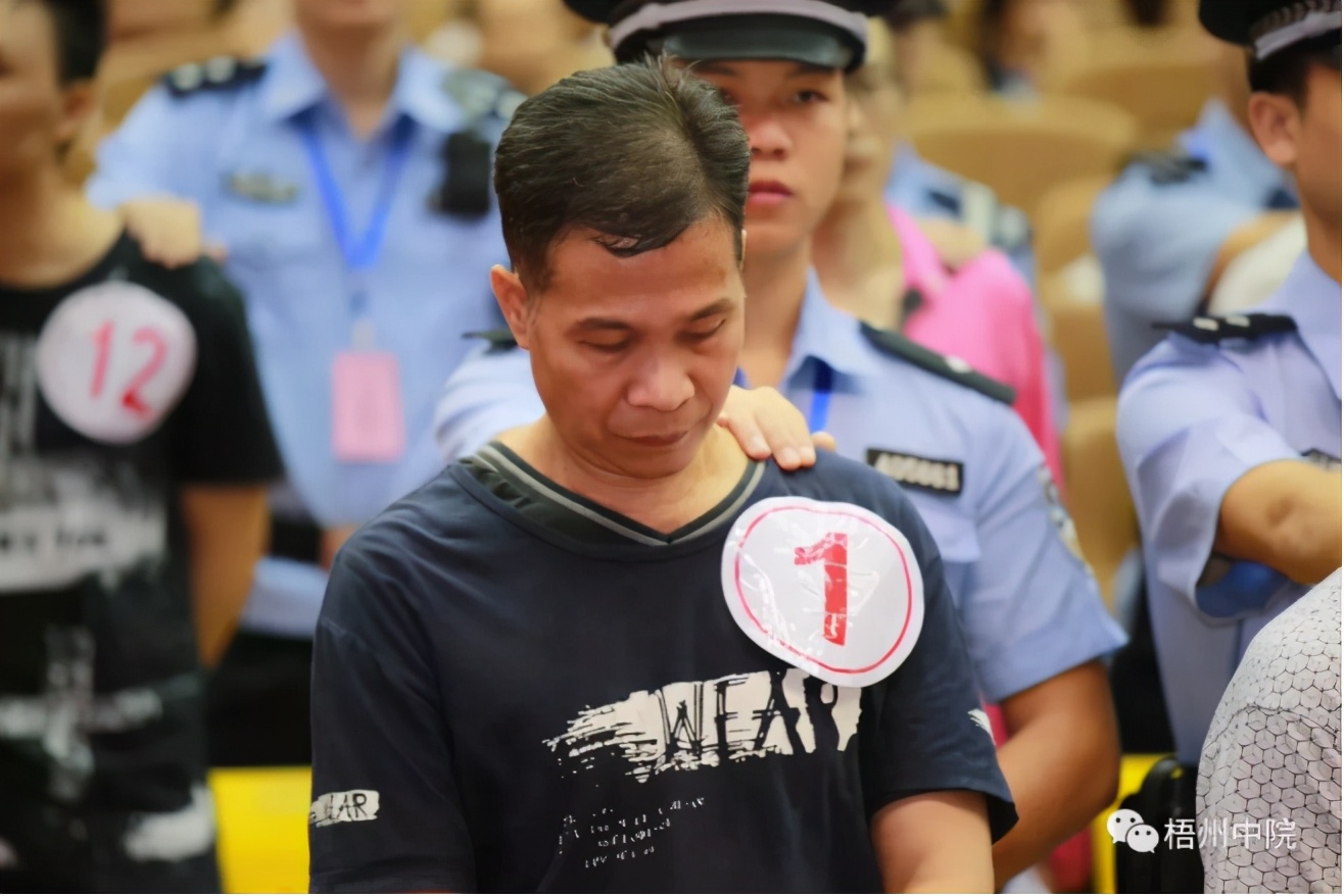 "张树林就地正法,张树辉被判重刑,本应是大快人心的结果,"全国扫黑