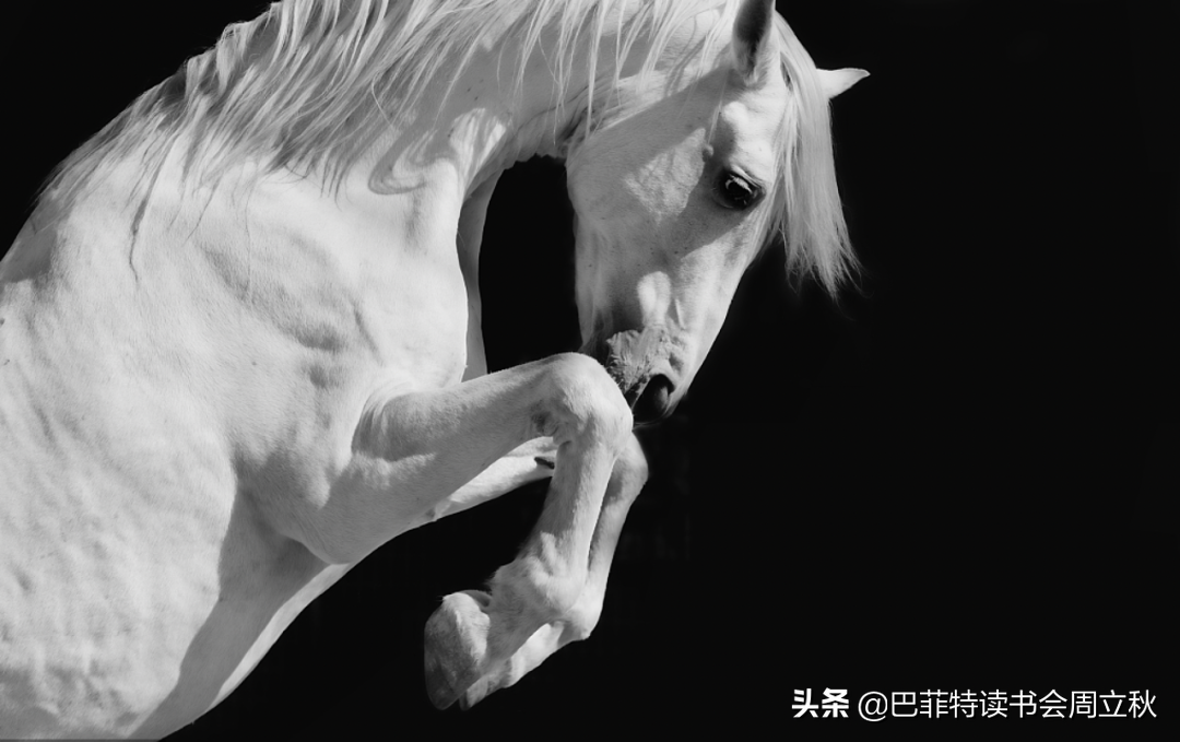 飞奔的白马挂了么？恒瑞医药2020业绩解读
