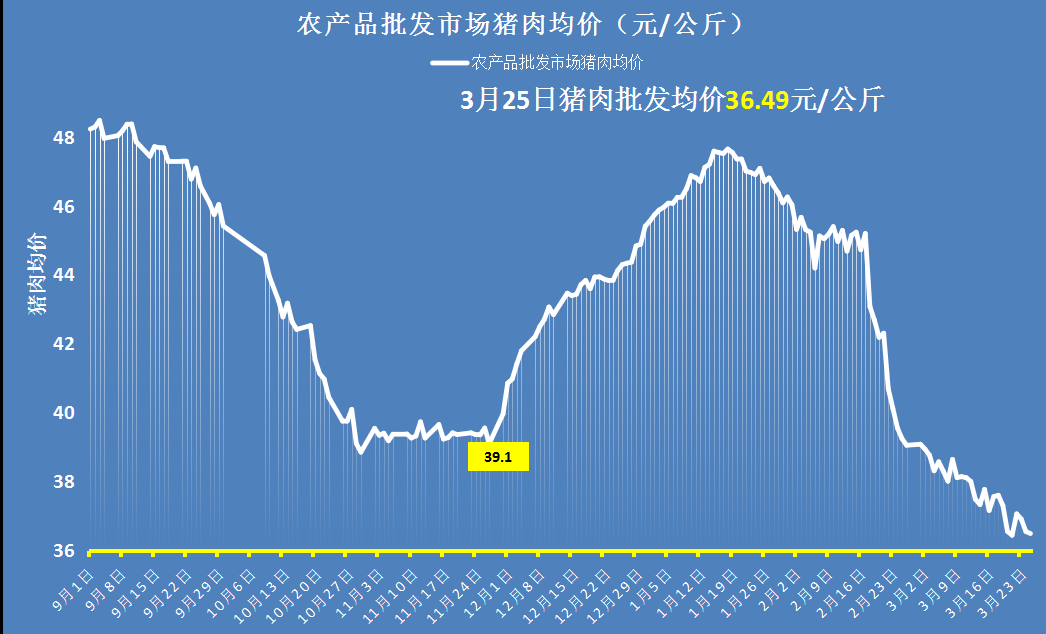 玉米走跌，猪价跌破“地板线”，肉价降价11元，4月还要跌？