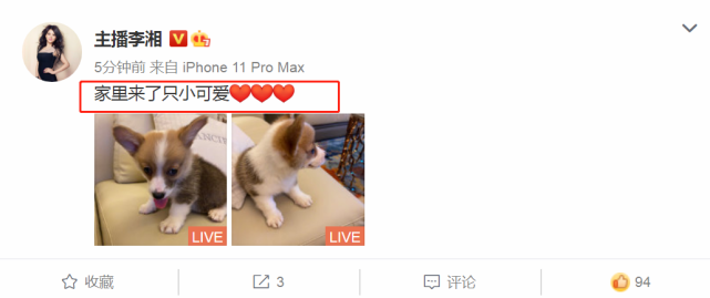 王岳伦晒一家三口幸福合照表白妻女，李湘“爱心”回应大度原谅