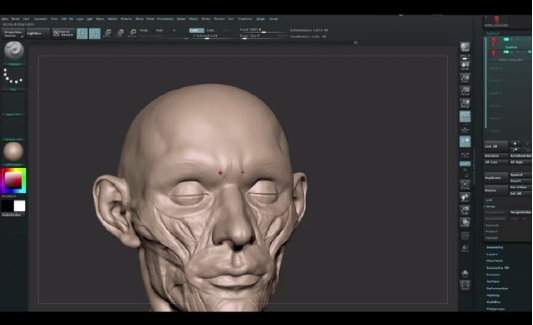 教学｜比较难的人体构造建模，用zbrush构建脸部肌肉和五官