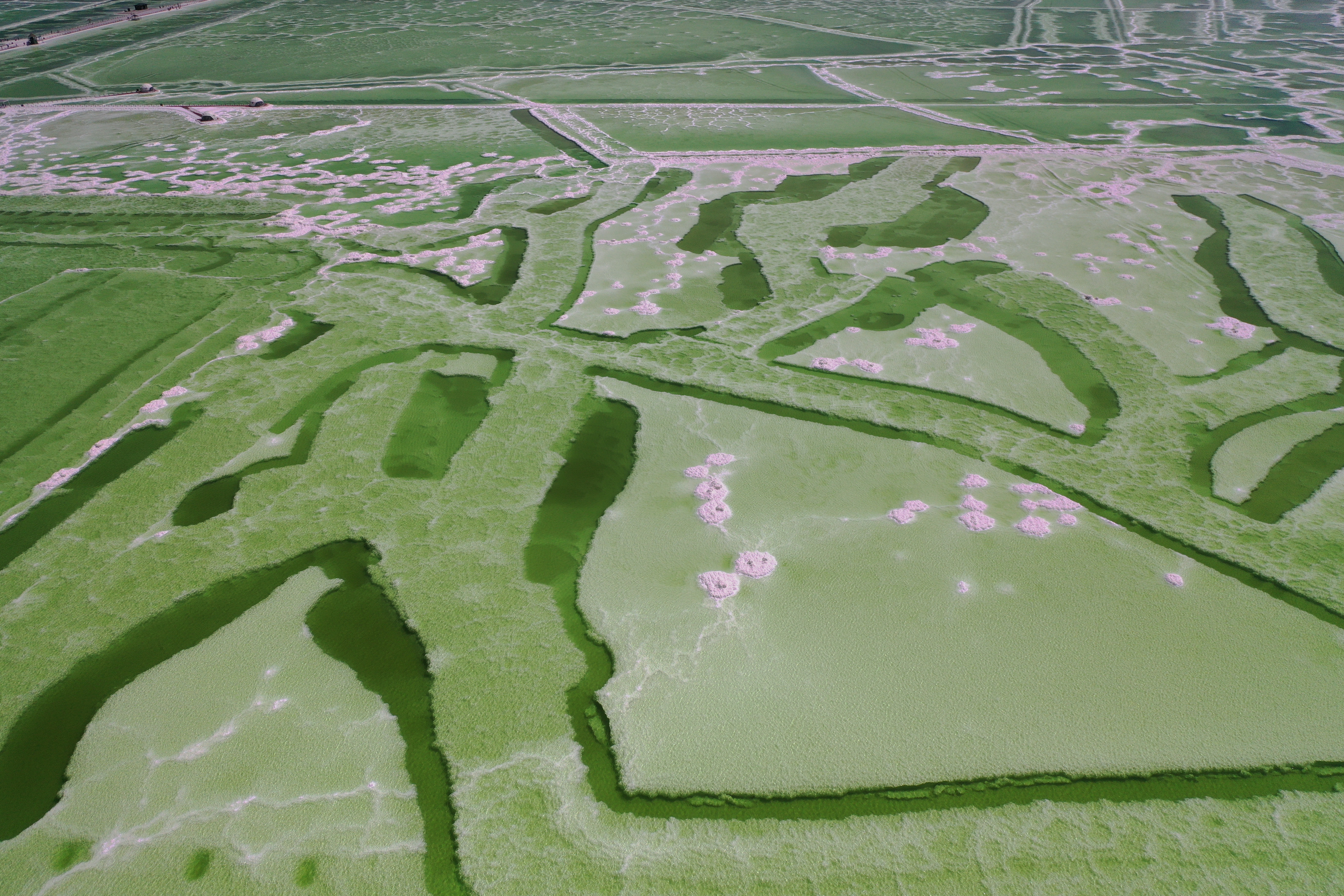 游客青睐中国最大盐湖——察尔汗盐湖