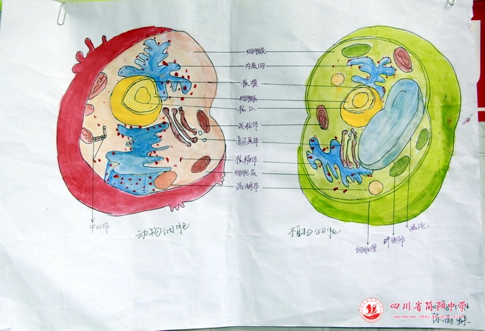 四川省简阳中学怎么样?首届生物学科节(图38)