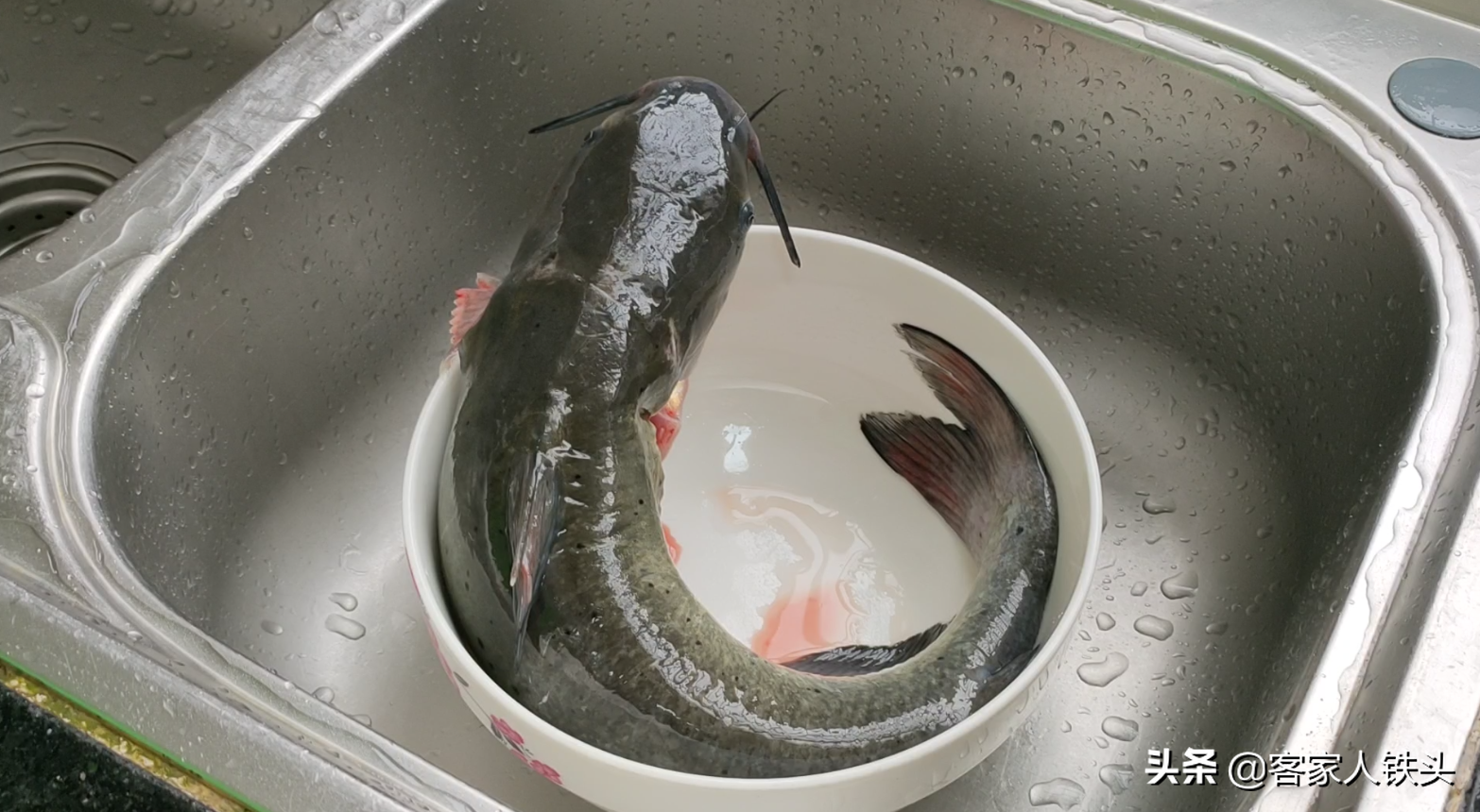 做生焗魚煲，廣東人真有一套，一醃一焗就開吃，簡單好吃營養豐富