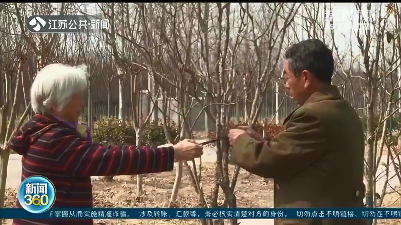 一把老锯随身带 宿迁老夫妻义务护林10余载