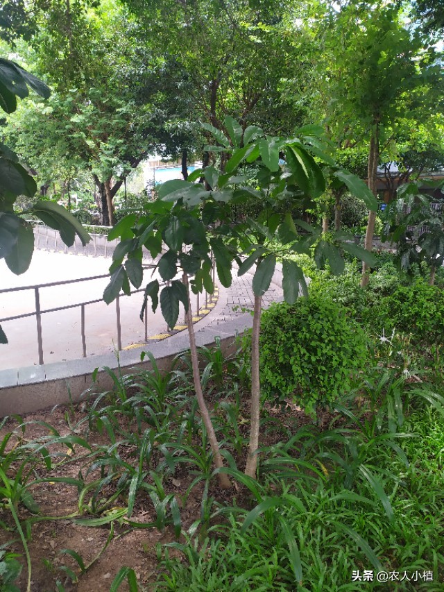 打工十年，卡里只有几百块钱，这样的人活着真失败，说多都是泪。