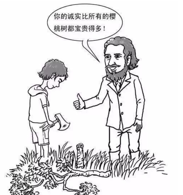 植物历史：华盛顿没砍过樱桃树，可华盛顿特区