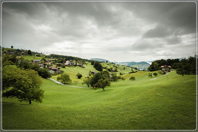 39岁返乡者，明年不准备外出打工，在农村养什么可以稳妥赚钱？