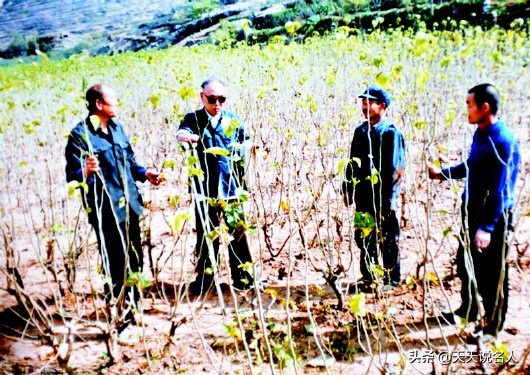 没手没脚没眼睛的朱彦夫，凭啥那么牛