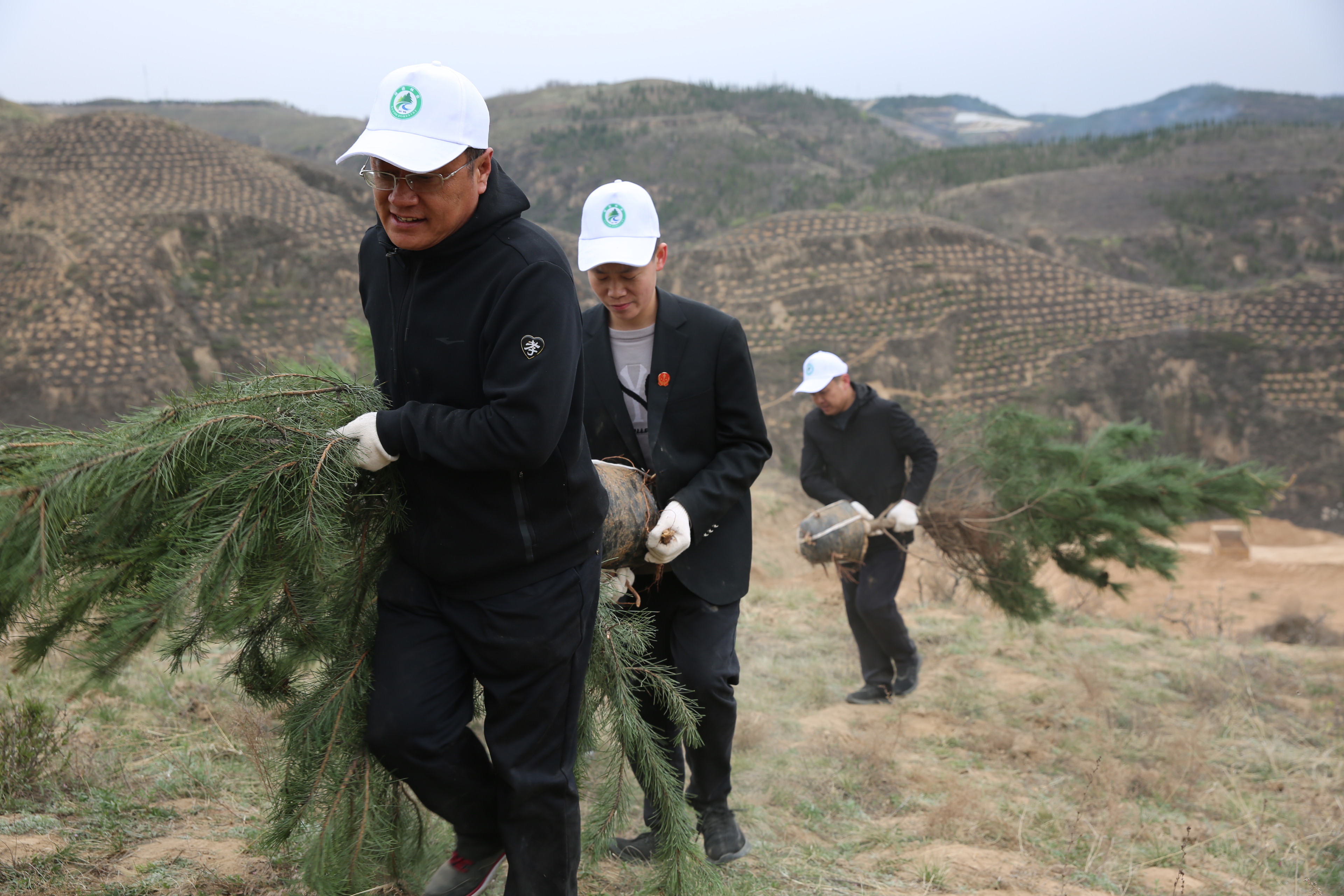“我为群众办实事”| 绥德法院开展义务植树活动，将绿意种在春天里