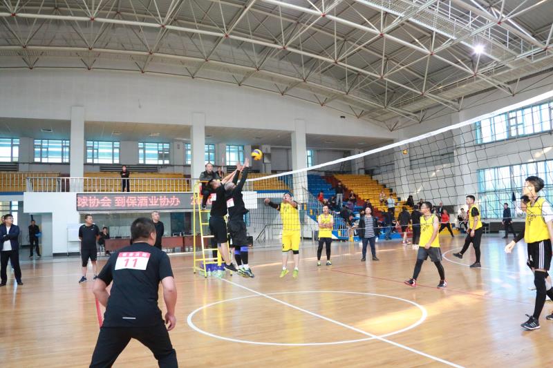 镇赉法院：丰富干警业余文化生活，举办排球联赛展风采