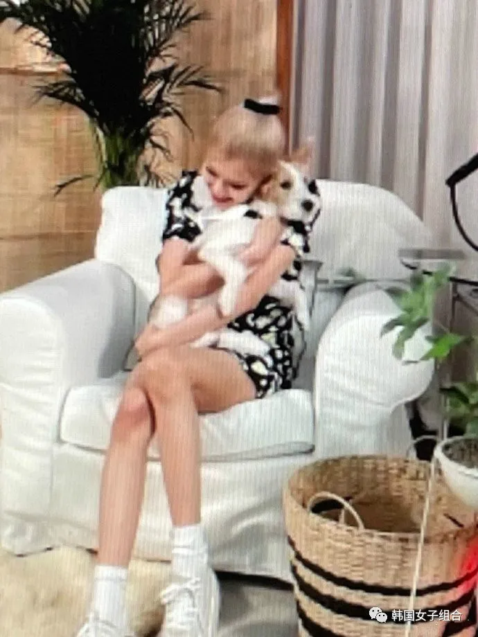 和这位女团爱豆的氛围很像的狗狗,真的随主人了
