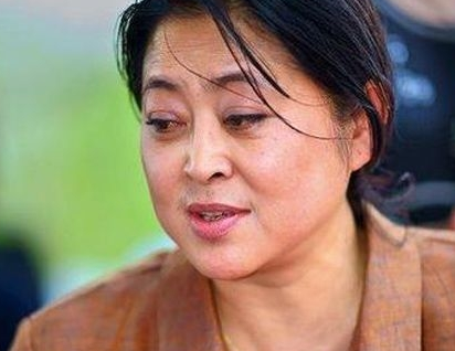 曾是模范夫妻，王文澜却在儿子患病时与倪萍离婚，背后没那么简单