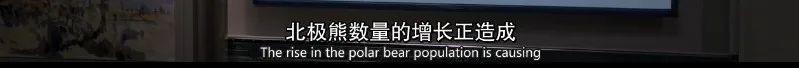 傻了吧，它一停播冲上9.4