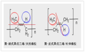 杜仲胶的作用与功效，惊喜不止一点点