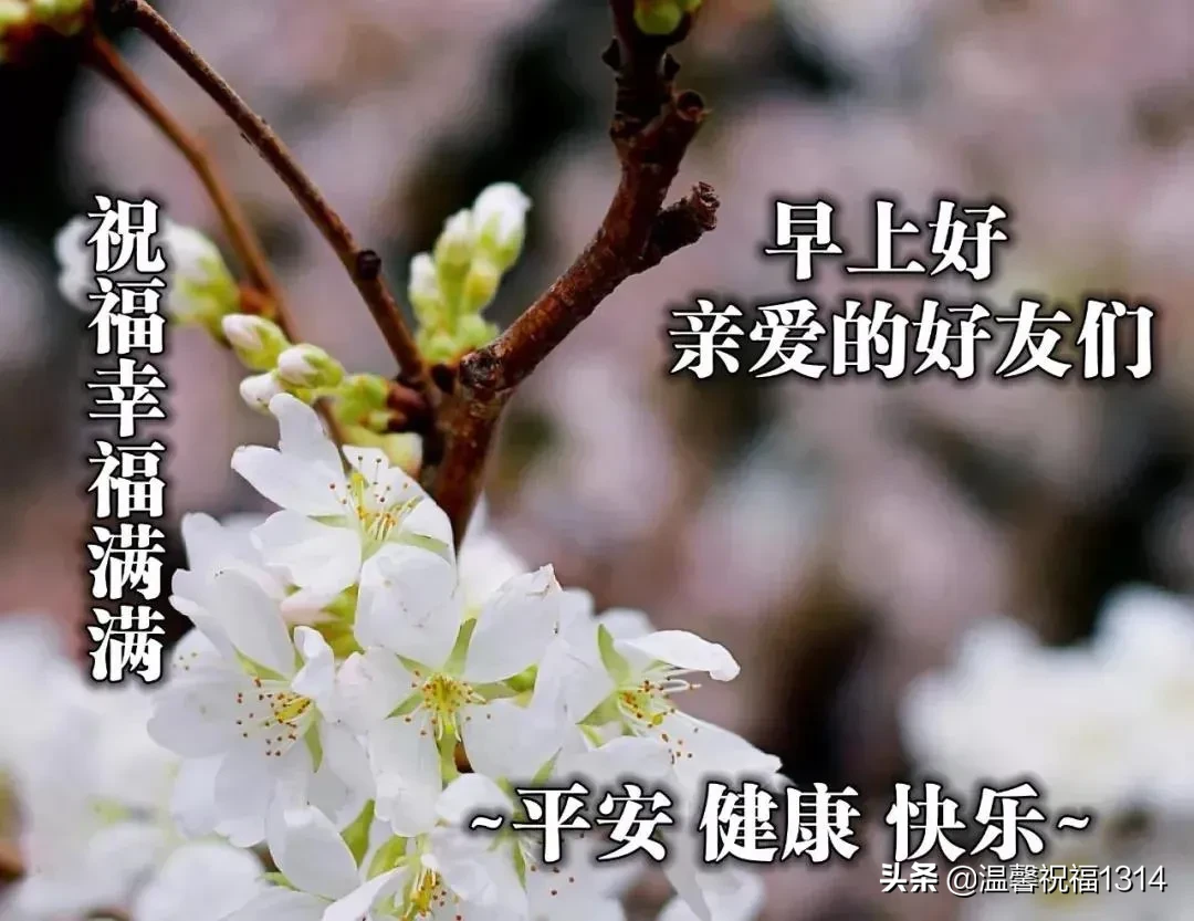 好看的早安图片带字推荐，漂亮的早上好问候语图片图片