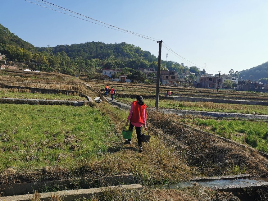 这个难忘的新年，我在客都梅州度过