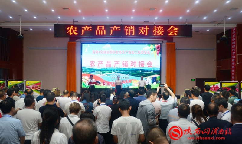 豐收合陽•最美秋色 合陽召開扶貧農(nóng)產(chǎn)品產(chǎn)銷對(duì)接會(huì)（組圖）
