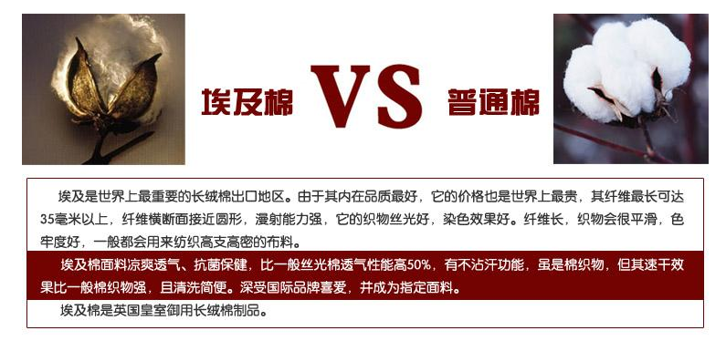 都說白T時髦百搭，為什麽你的白T像地攤貨？4點告訴你怎麽選