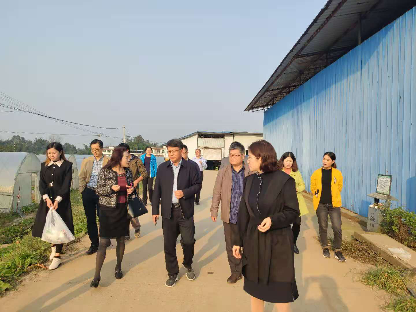 协会邀请山东农业专家赴潼南朴真蔬菜基地走访及指导