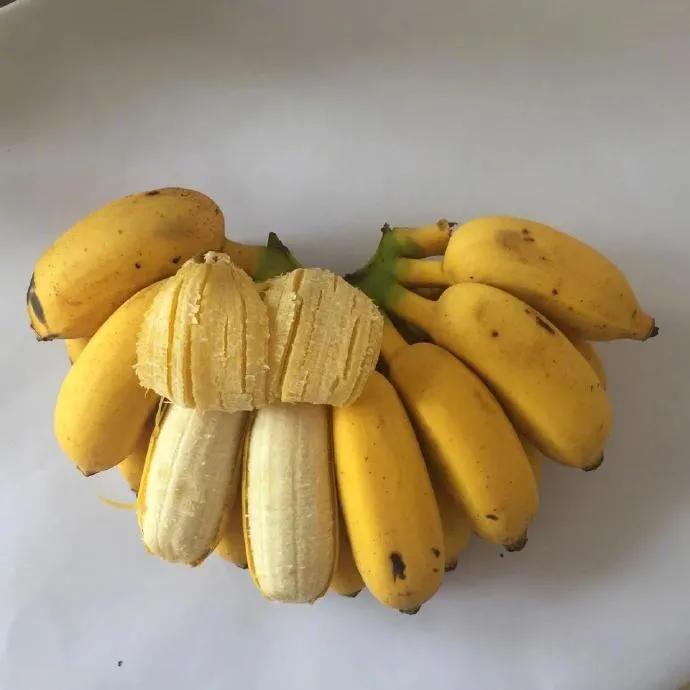 香蕉、芭蕉、米蕉，你吃过哪几种蕉？