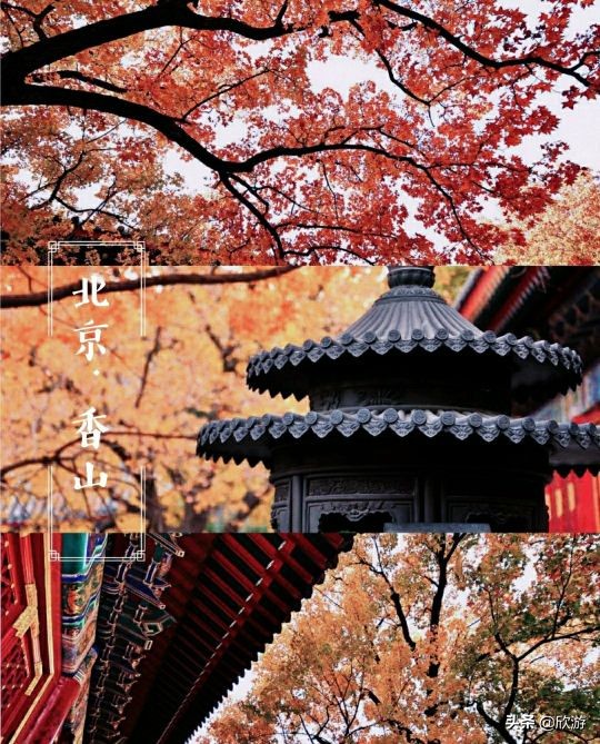 October is the most worthwhile travel. These places have the most beautiful maple leaves and are also the best shooting locations