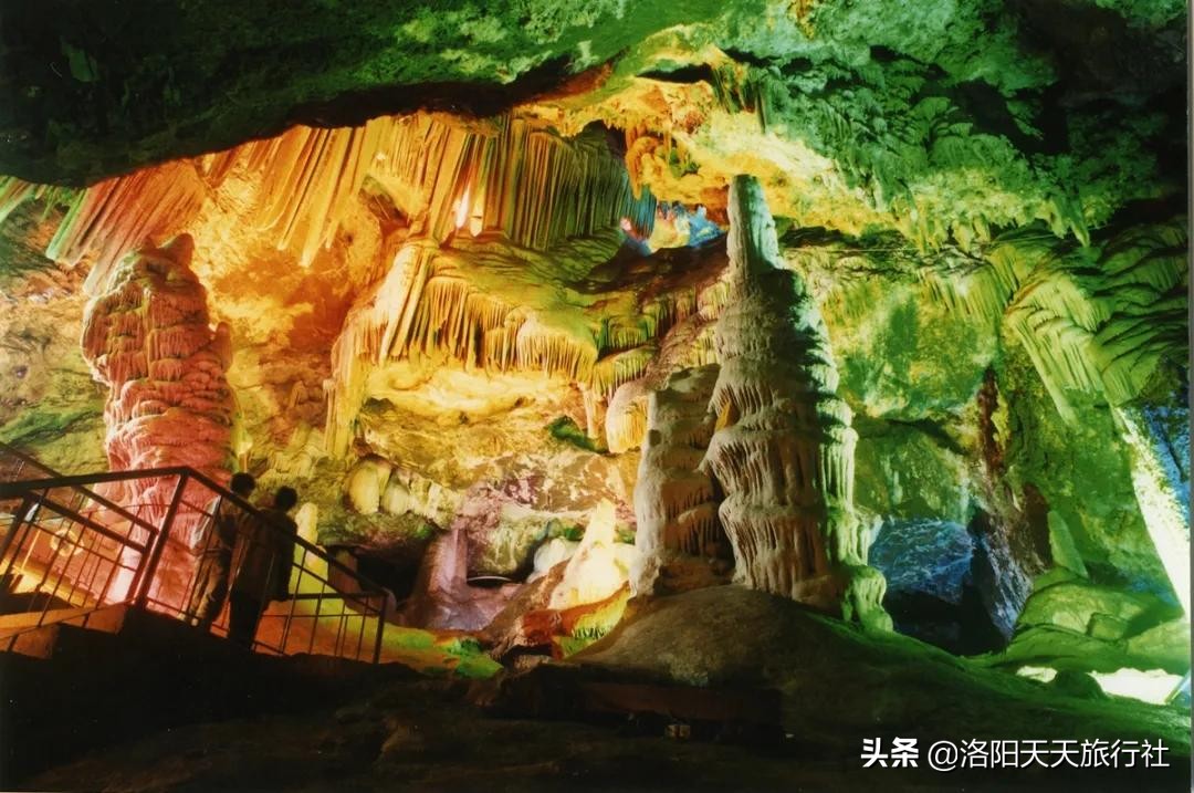 洛阳五一花情资讯，这几个地方还有牡丹花看，抓紧啦