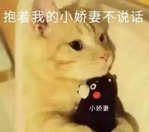 貓咪發情那些事，發情的貓咪都有什麽表現呢？