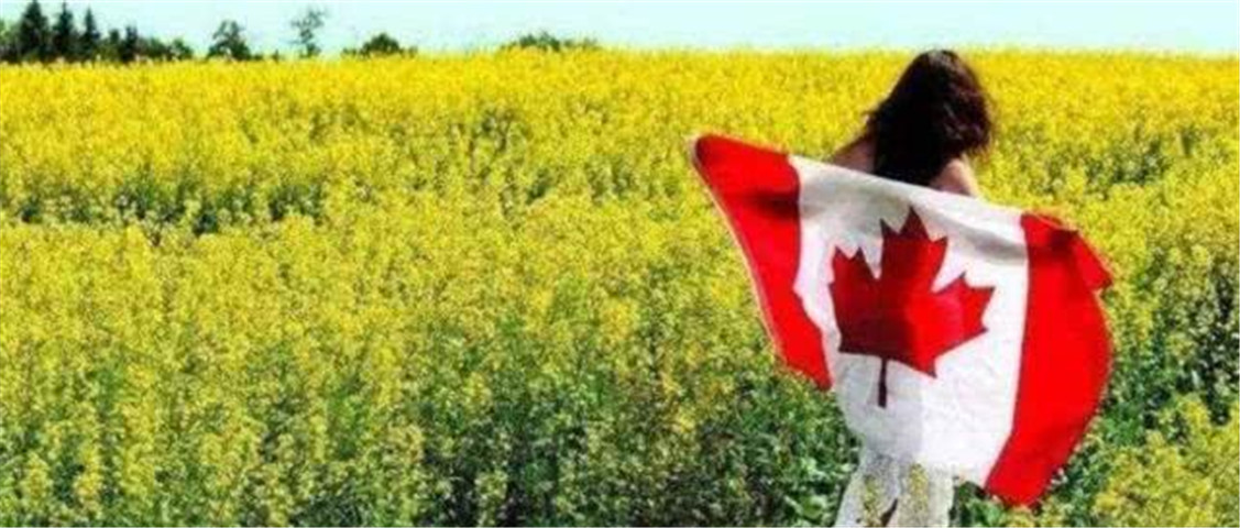 加拿大想要与我国合作，喊话：中方不要有偏见