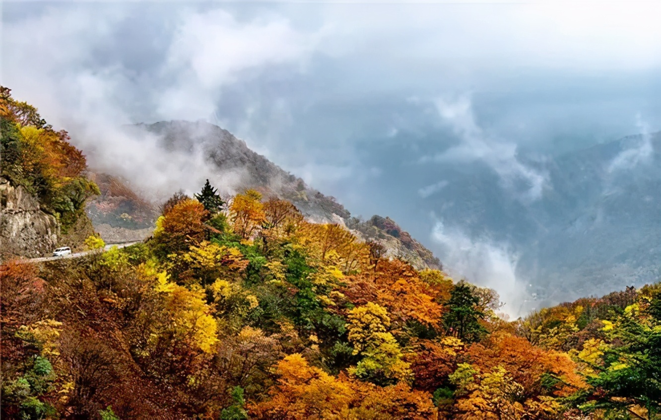 Missing these 14 maple viewing areas in November is equivalent to missing the entire autumn