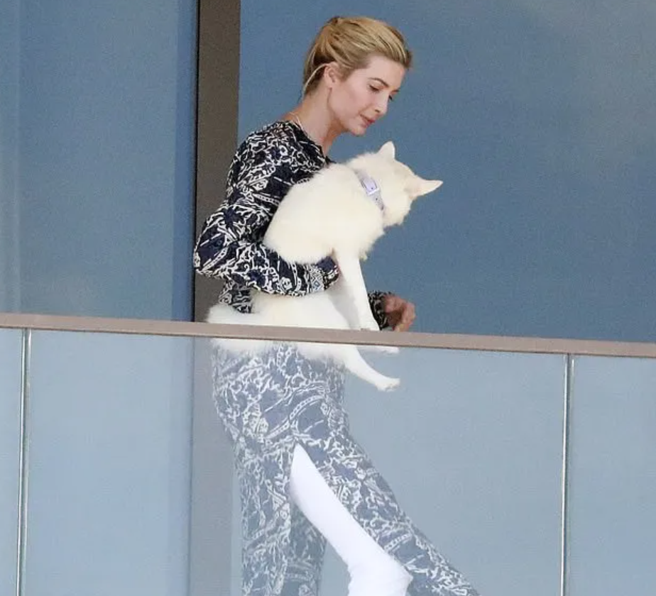 川普退休“妻离子散”？孤身曝再选总统，妻女