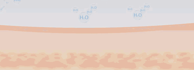 要想妆容好，唯诺雅教你先从“底子”抓起