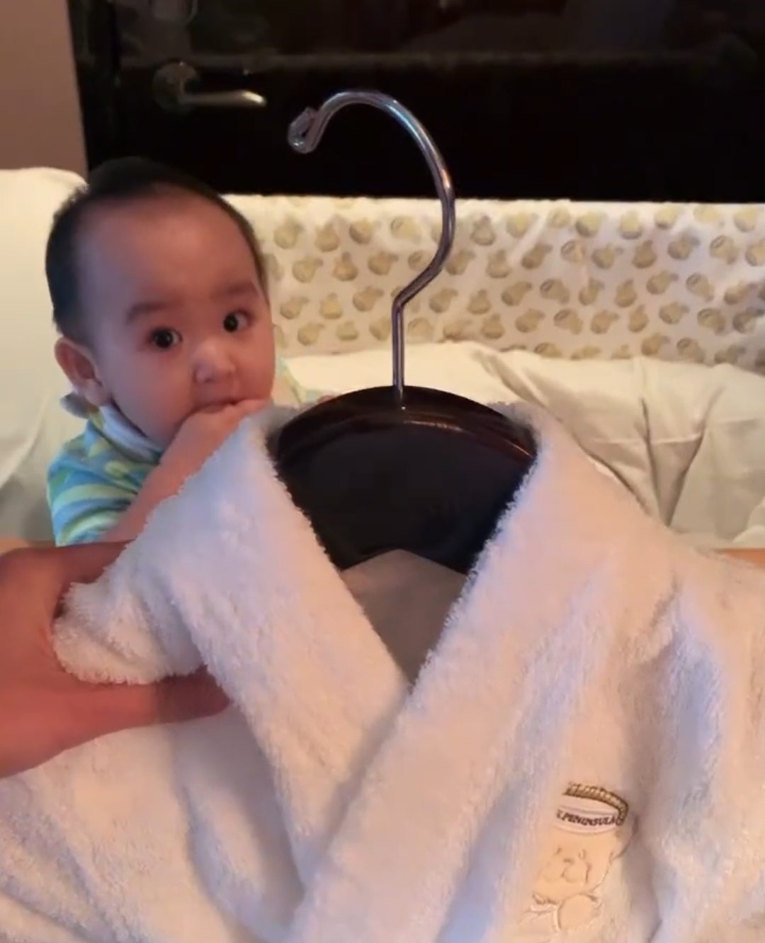 郑嘉颖小22岁娇妻陈凯琳晒生活日常庆生，一家四口泳池玩水超幸福