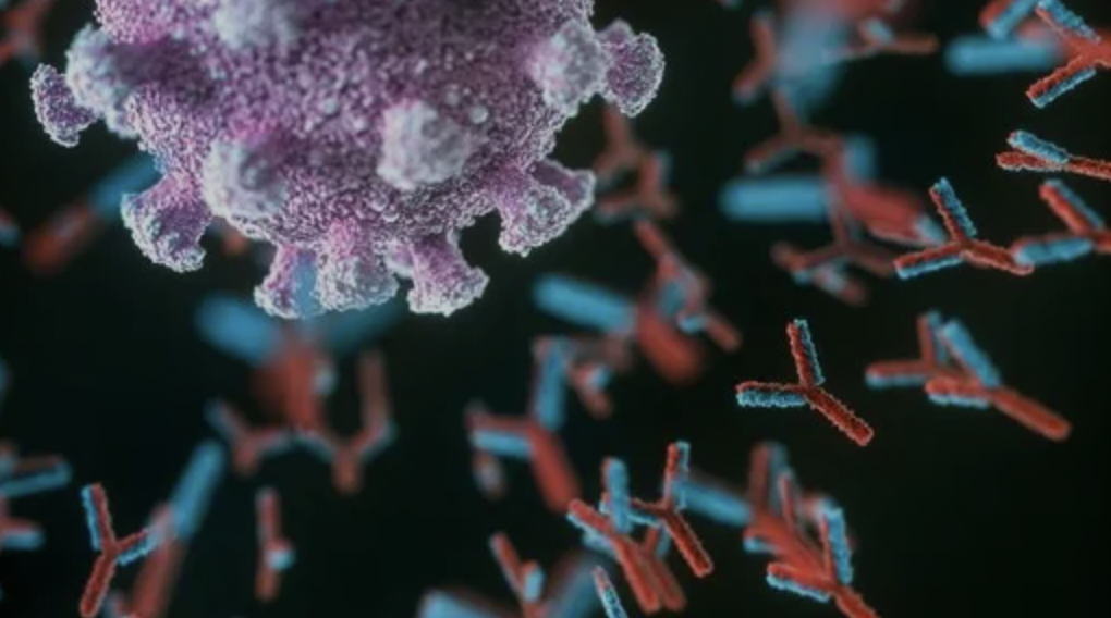 每解析一個蛋白質結構，就會有一種疾病“消失”？生物計算有多強